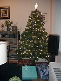 Taylor And Ericas Xmas Tree 2000 2